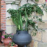 Ruedas