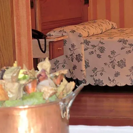 Hotel Ruedas *