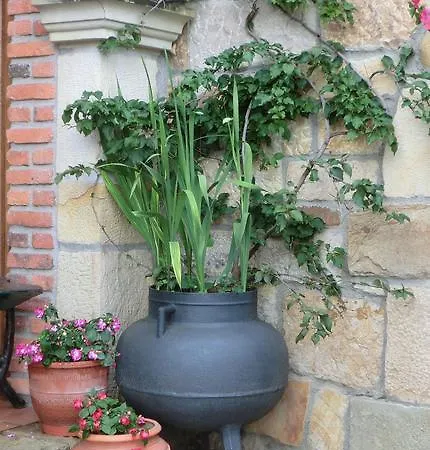 Ruedas