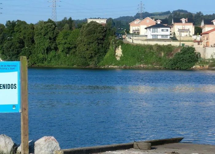 Ruedas * ラレード